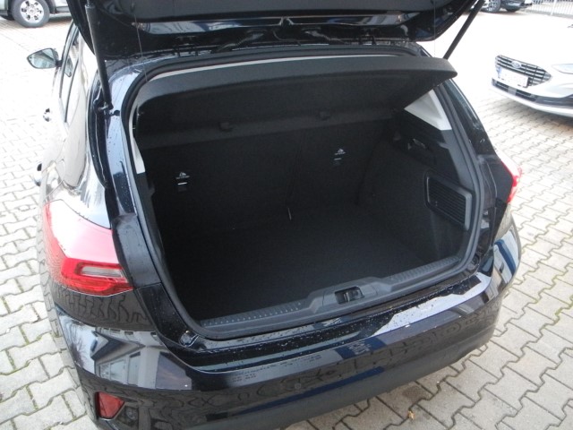 Fahrzeugabbildung Ford Focus Hybrid Aut. TITANIUM ED. - Panor., iACC