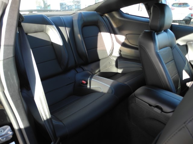 Fahrzeugabbildung Ford Mustang Fastback 5.0 GT - MagneRide, Klim.Sitze V