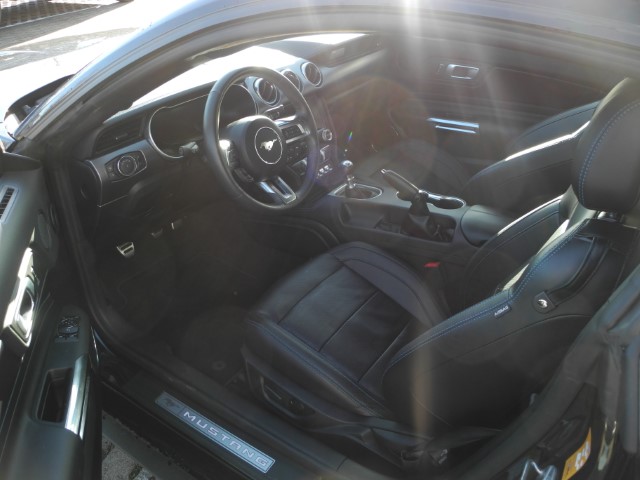 Fahrzeugabbildung Ford Mustang Fastback 5.0 GT - MagneRide, Klim.Sitze V