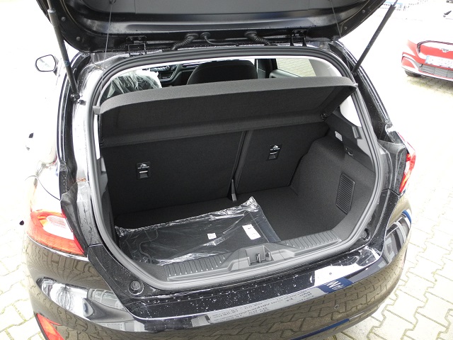 Fahrzeugabbildung Ford Fiesta 1.0 Hybrid TITANIUM - LED,DAB,Tempo,PDC